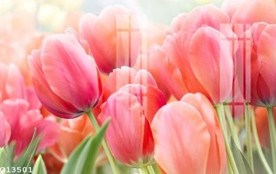 File in ấn File gốc in tranh tổng hợp Q13501 (bản gốc) cao cấp