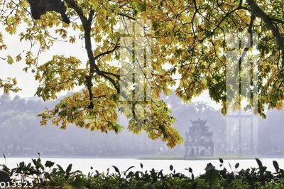 File gốc File gốc in tranh tổng hợp Q13523 (in ấn) không giới hạn