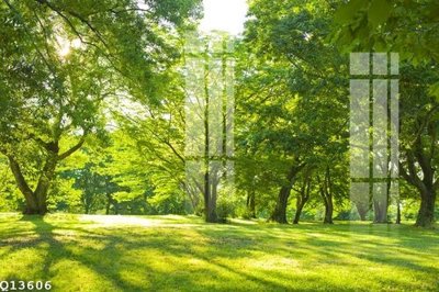 File gốc File gốc in tranh tổng hợp Q13606 (in lụa) cao cấp