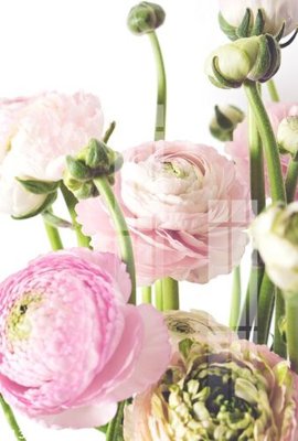 Ảnh mô tả file gốc in mica File gốc in tranh tổng hợp Q13630