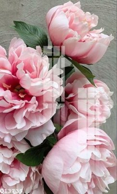 File gốc File gốc in tranh tổng hợp Q13739 (cho in ấn) từ kho Filetranh