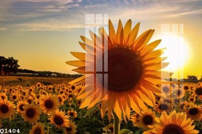 File in ấn File gốc in tranh tổng hợp Q1404 (bản gốc) cao cấp