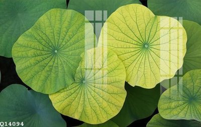 File gốc File gốc in tranh tổng hợp Q14094 (chuẩn màu) cho in offset