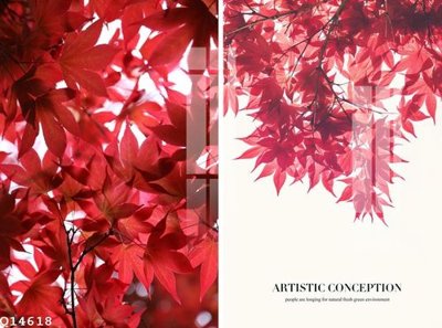 Tệp tin gốc File gốc in tranh tổng hợp Q14618 (dùng cho in) File gốc in tranh tổng hợp Q14618