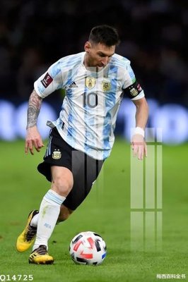 Ảnh gốc file in lụa File gốc in tranh tổng hợp Q14725 chi tiết