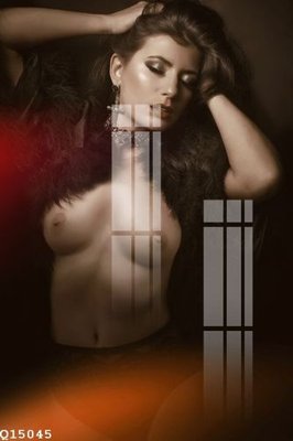 File gốc File gốc in tranh tổng hợp Q15045 (in mica) cắt laser