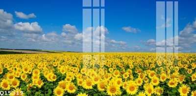 File PSD in ấn File gốc in tranh tổng hợp Q15319 (chất lượng cao)