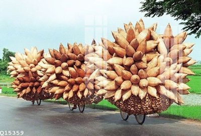 Download file File gốc in tranh tổng hợp Q15359 (chuẩn in) chất lượng cao