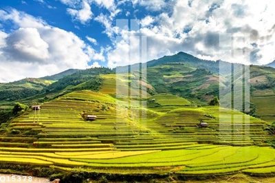 Tải file File gốc in tranh tổng hợp Q15378 (ảnh gốc) 300dpi File gốc in tranh tổng hợp Q15378