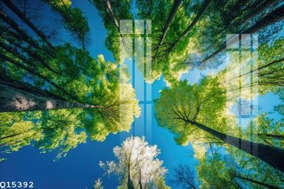 File ảnh File gốc in tranh tổng hợp Q15392 (gốc) in biển hiệu