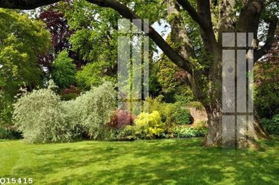 File PSD File gốc in tranh tổng hợp Q15415 (bản gốc) dễ dàng edit