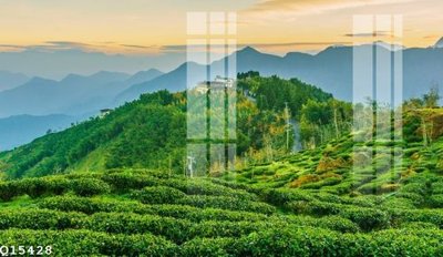 File tranh File gốc in tranh tổng hợp Q15428 (ảnh gốc) không bị mờ