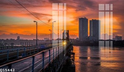 File tranh File gốc in tranh tổng hợp Q15442 (gốc) chủ đề động vật