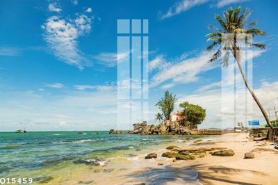 File gốc File gốc in tranh tổng hợp Q15459 (in tráng gương) sang trọng