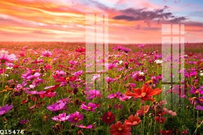 File ảnh File gốc in tranh tổng hợp Q15476 (gốc) in quảng cáo ngoài trời