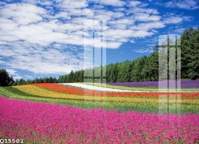 Tải file File gốc in tranh tổng hợp Q15502 (gốc) để in ấn ngay