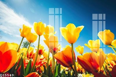 File in ấn File gốc in tranh tổng hợp Q15549 chuyên nghiệp