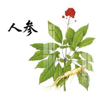 Tải file File gốc in tranh tổng hợp Q15639 (gốc) chủ đề hoa sen