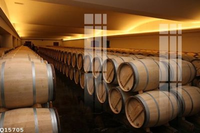 File in trần File gốc in tranh tổng hợp Q15705 (bản gốc) hoa văn