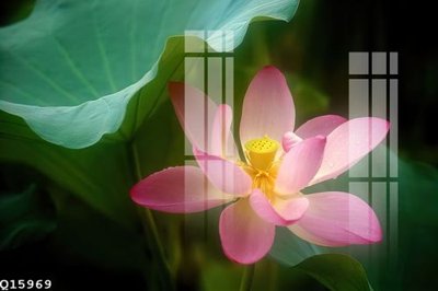 File PSD File gốc in tranh tổng hợp Q15969 (bản gốc) cho nhà in