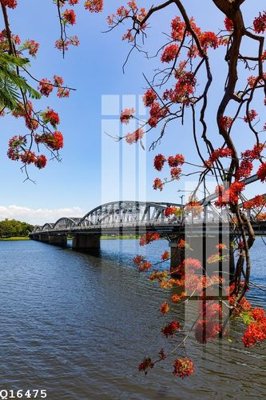 File tranh File gốc in tranh tổng hợp Q16475 (bản gốc) in lụa dán tường