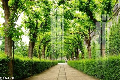 File ảnh File gốc in tranh tổng hợp Q16478 (gốc) in biển hiệu