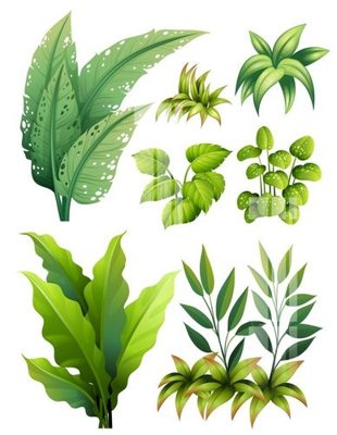 Tải file File gốc in tranh tổng hợp Q1648 (gốc) chủ đề tâm linh