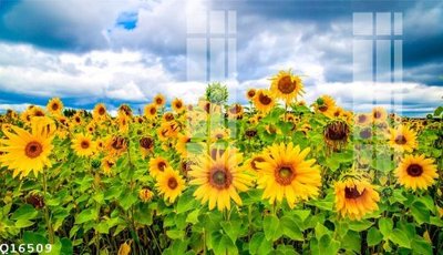 File gốc File gốc in tranh tổng hợp Q16509 (in lụa) tranh phong thủy