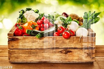 Download file File gốc in tranh tổng hợp Q16639 (chất lượng in ấn)