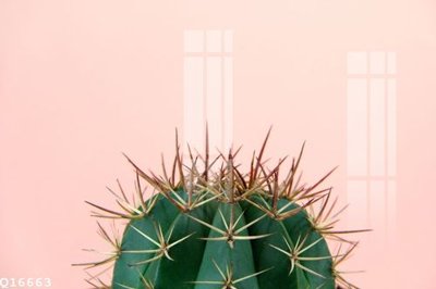 File tranh File gốc in tranh tổng hợp Q16663 (ảnh gốc) in trần nhà