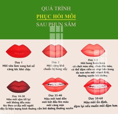 File ảnh File gốc in tranh tổng hợp Q16731 (gốc) trang trí khách sạn