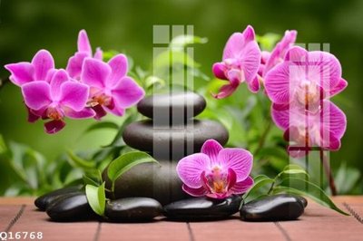 File gốc File gốc in tranh tổng hợp Q16768 (PNG) không nền chất lượng