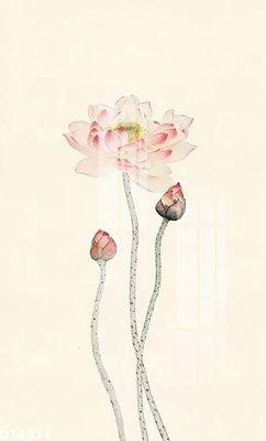 File gốc File gốc in tranh tổng hợp Q18016 (bản quyền) cho in ấn