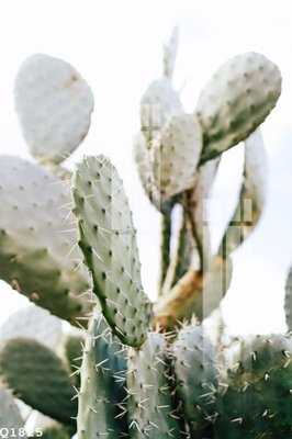 File gốc File gốc in tranh tổng hợp Q1825 (phong cách) tối giản