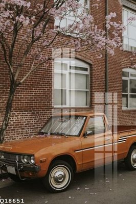 Tải file File gốc in tranh tổng hợp Q18651 (gốc) chủ đề tôn giáo