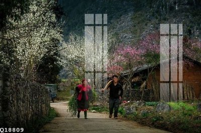 File gốc File gốc in tranh tổng hợp Q18809 (phong cách) cổ điển