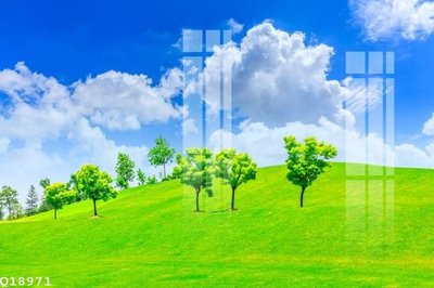 File gốc File gốc in tranh tổng hợp Q18971 (in mica) cắt laser