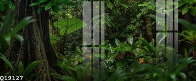 File gốc File gốc in tranh tổng hợp Q19127 (phong cách) tối giản