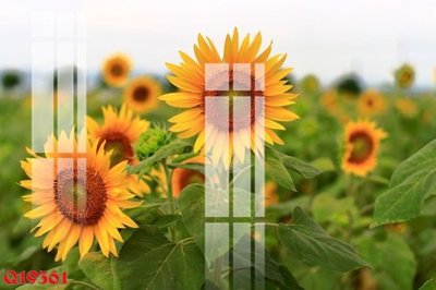 File tranh gốc File gốc in tranh tổng hợp Q19361 (bản quyền) Filetranh.com