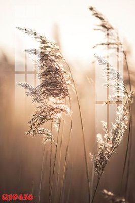 File gốc File gốc in tranh tổng hợp Q19456 (in ấn) màu sắc trung thực