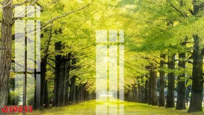 File gốc File gốc in tranh tổng hợp Q19633 (ảnh rõ nét) để in