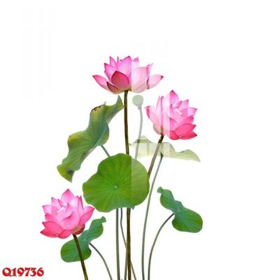 File ảnh File gốc in tranh tổng hợp Q19736 (gốc) trang trí khách sạn