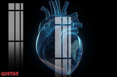 File gốc File gốc in tranh tổng hợp Q19765 (in lụa) tranh thuận buồm