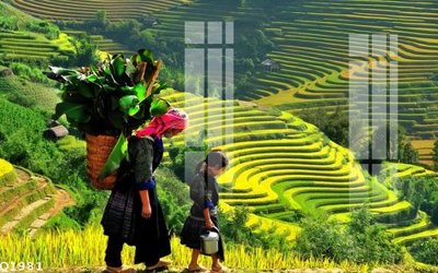 File gốc File gốc in tranh tổng hợp Q1981 (ảnh chi tiết) để in trần