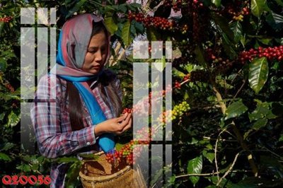 File gốc File gốc in tranh tổng hợp Q20056 (vector) cho in ấn