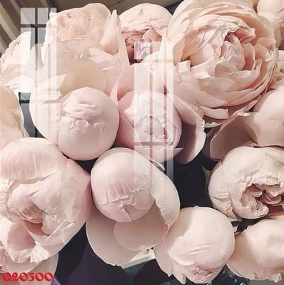 Download file ảnh gốc File gốc in tranh tổng hợp Q20300 để in ấn