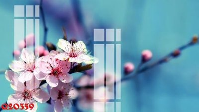 File gốc File gốc in tranh tổng hợp Q20359 (cho in ấn) độc quyền