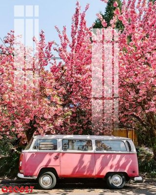 Ảnh gốc File gốc in tranh tổng hợp Q20627 (độ nét cao) in tráng gương