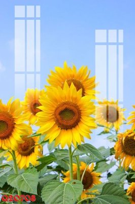 Download file gốc File gốc in tranh tổng hợp Q20708 (in lụa) tranh 3D