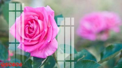 File in trần File gốc in tranh tổng hợp Q20806 (bản gốc) bầu trời